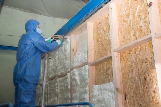 Best Insulation Removal  in Blawnox, PA