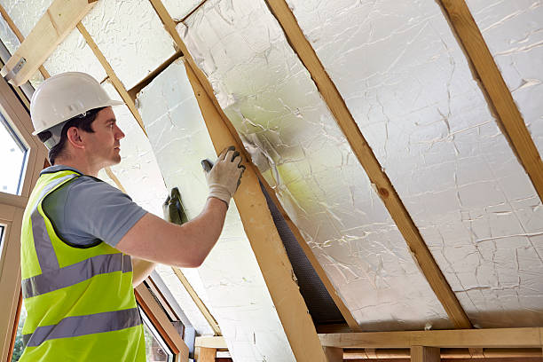 Best Cellulose Insulation  in Blawnox, PA